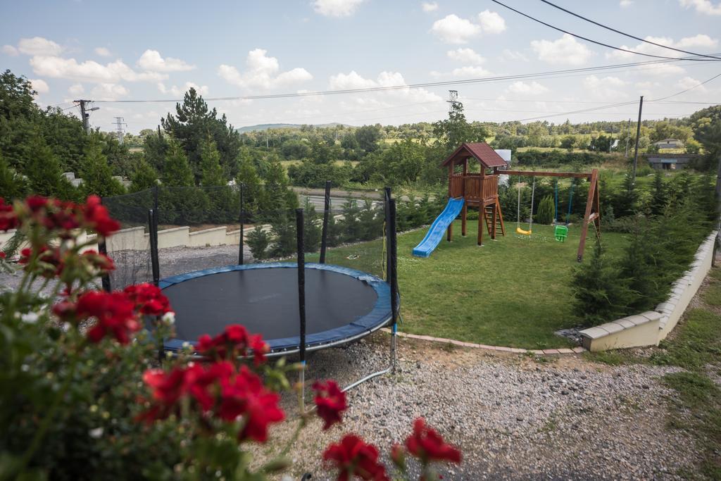 Vinicky Tokaj Zlata Putna - Restaurant & Pension מראה חיצוני תמונה